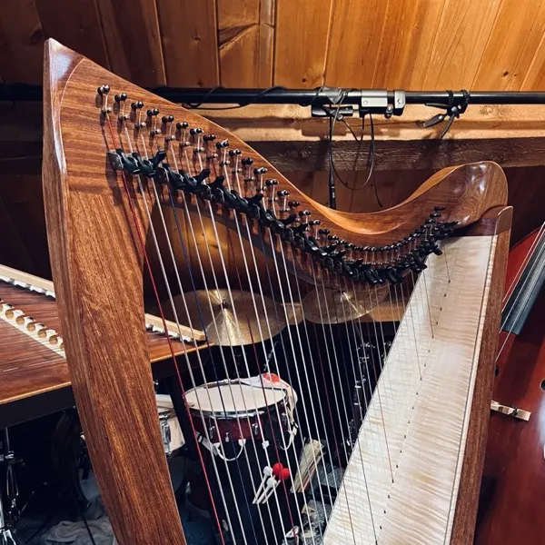 Celtic harp in the cabin studio